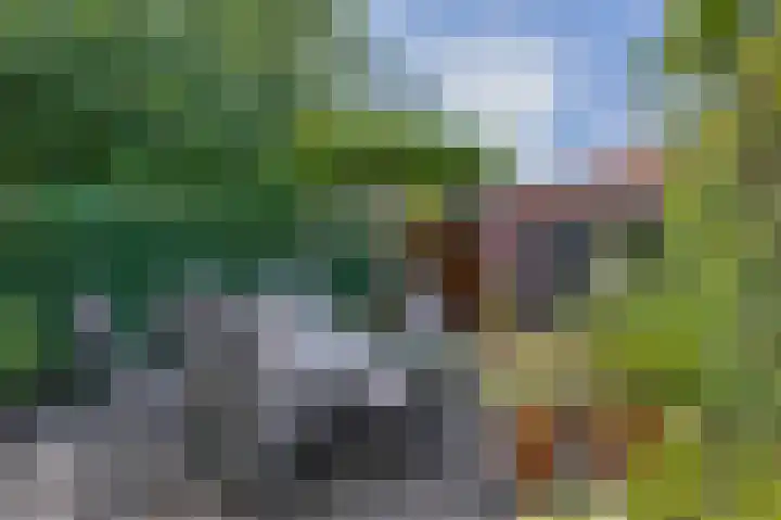 Zoutziederstraat 25 Brielle thumbnail 38