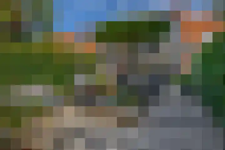 Zoutziederstraat 25 Brielle thumbnail 40