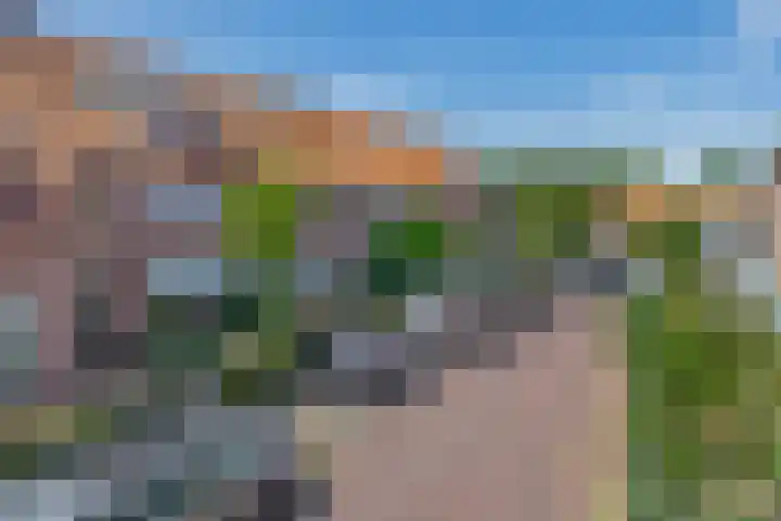 Zoutziederstraat 25 Brielle thumbnail 6