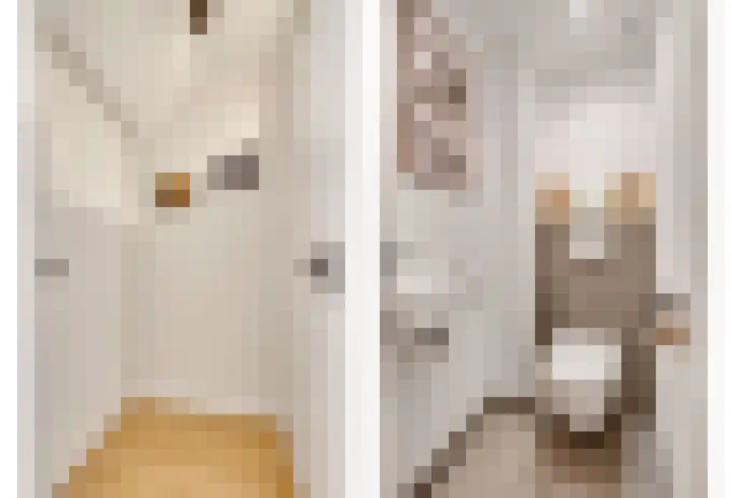 Zoutziederstraat 30 Brielle thumbnail 11