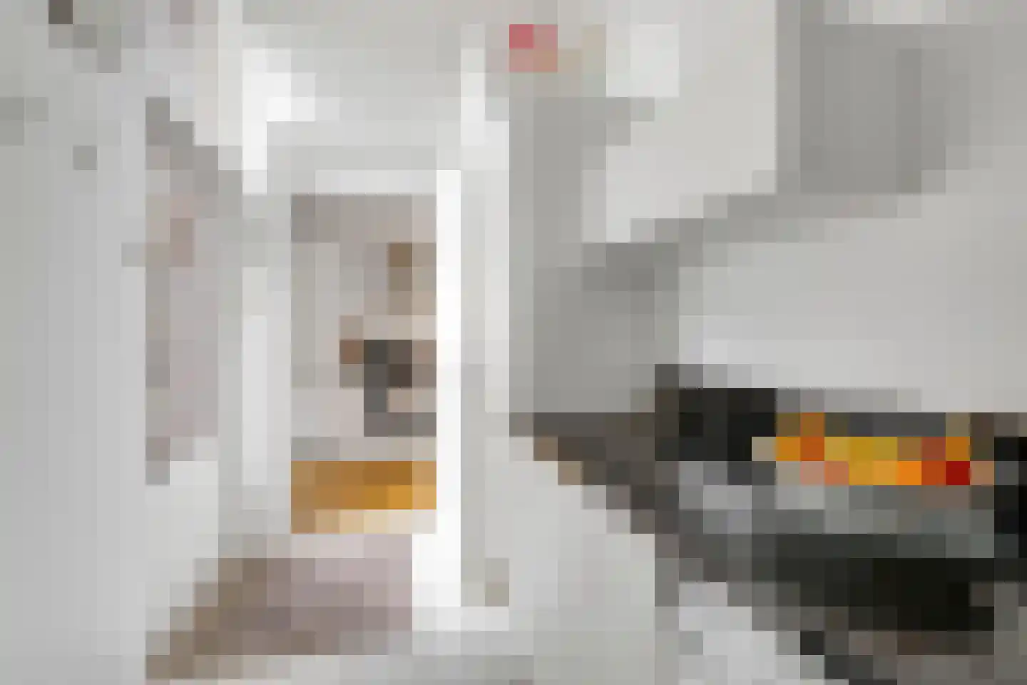 Zoutziederstraat 30 Brielle thumbnail 18