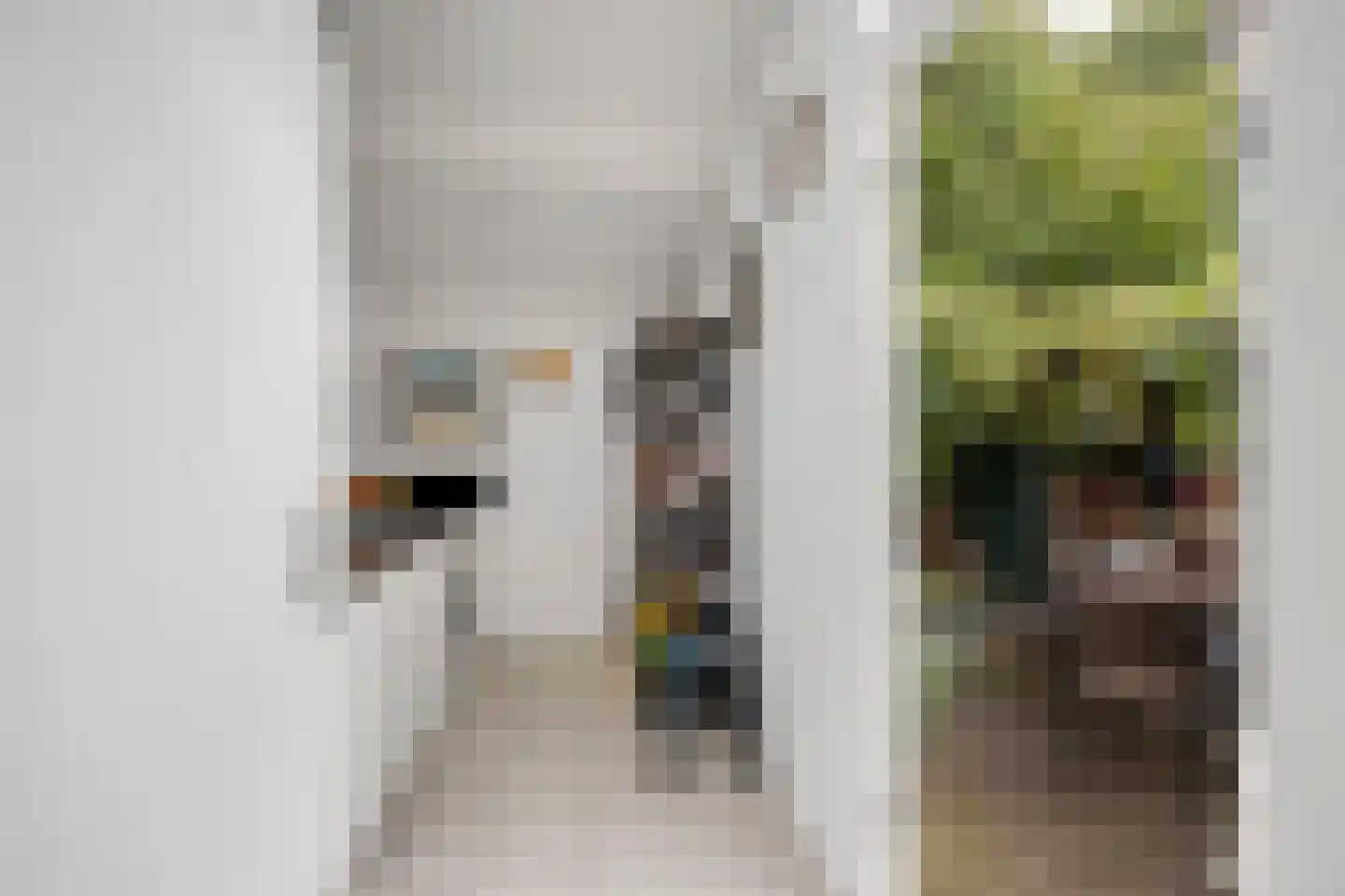 Zoutziederstraat 30 Brielle thumbnail 19