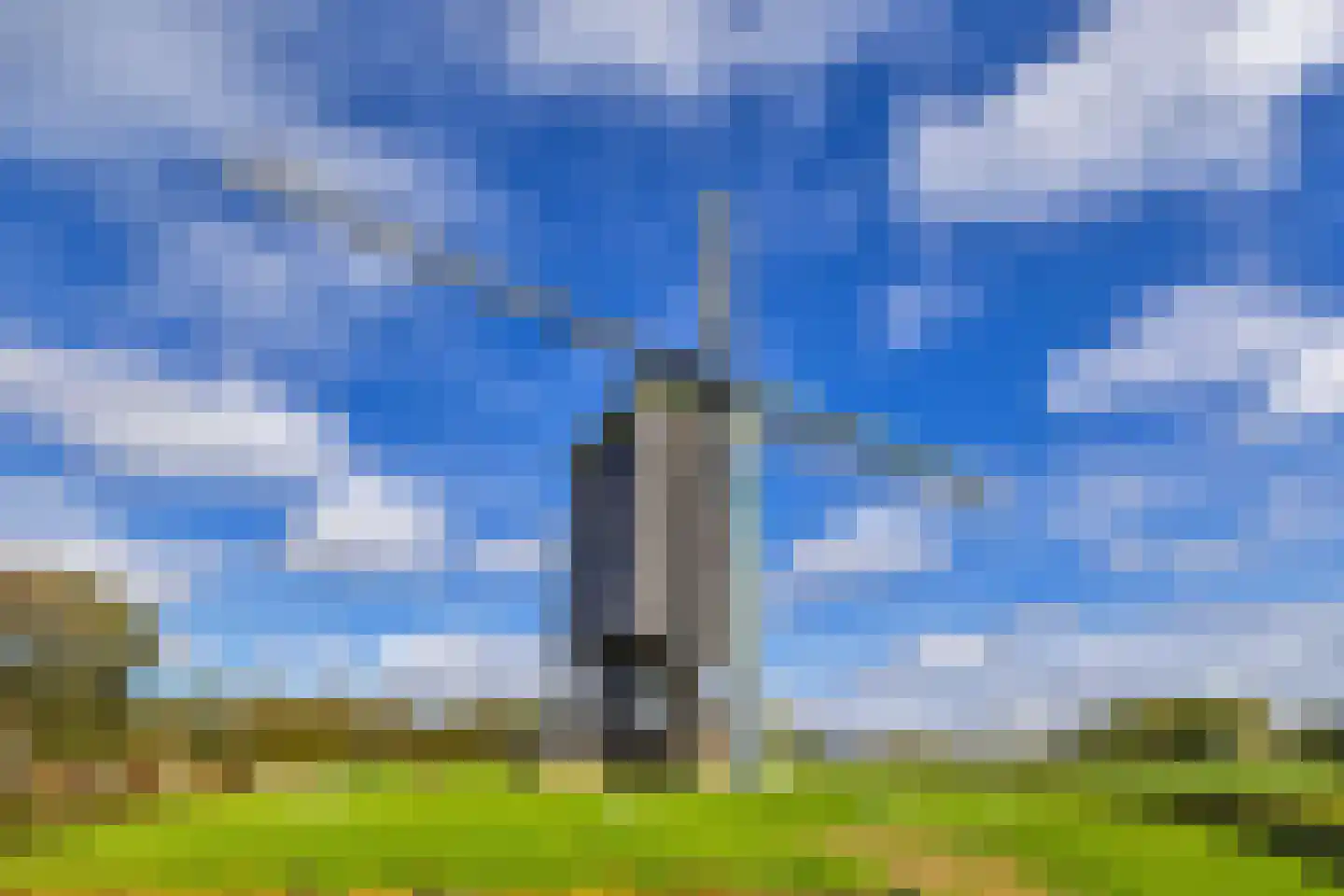Zoutziederstraat 30 Brielle thumbnail 30