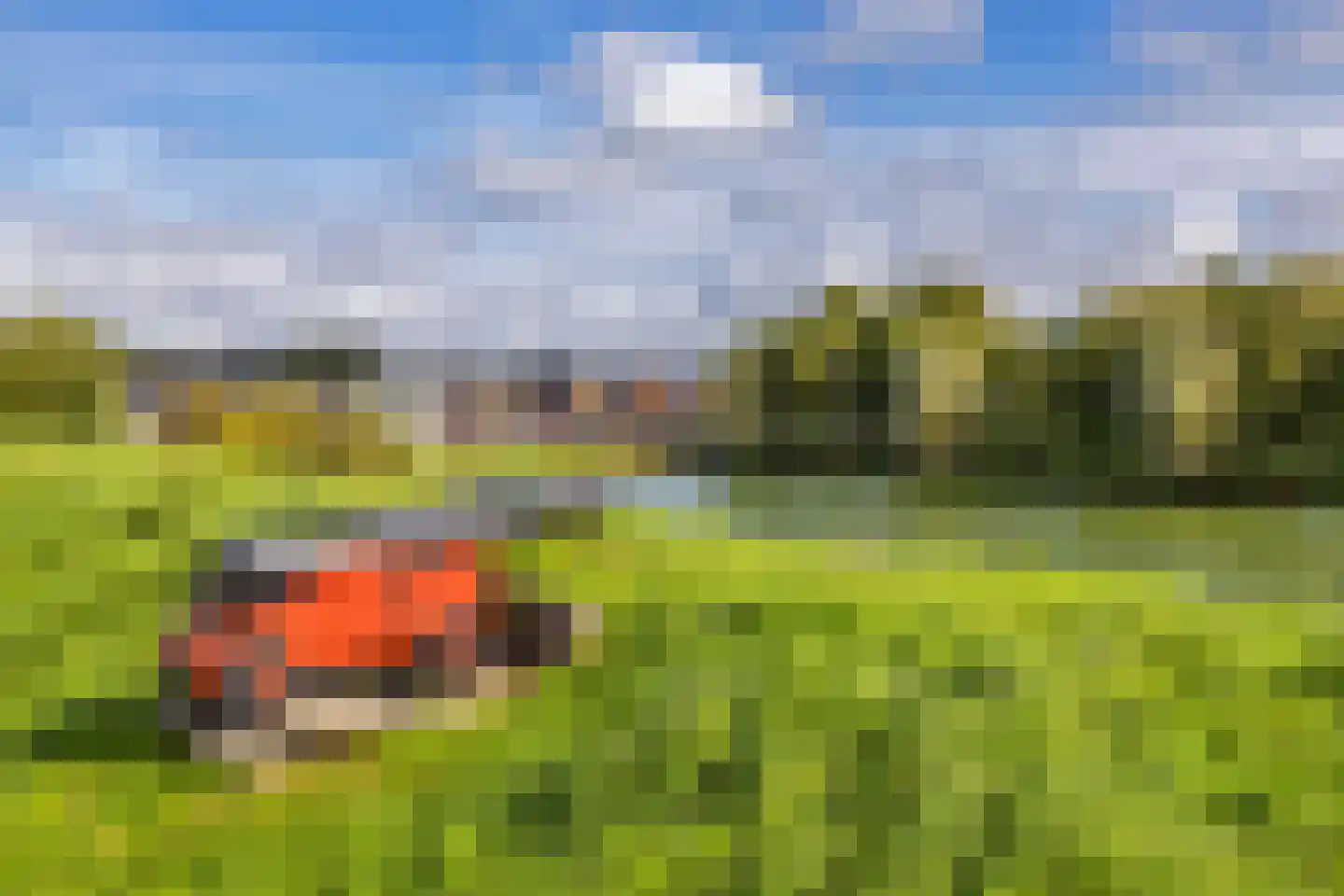 Zoutziederstraat 30 Brielle thumbnail 33