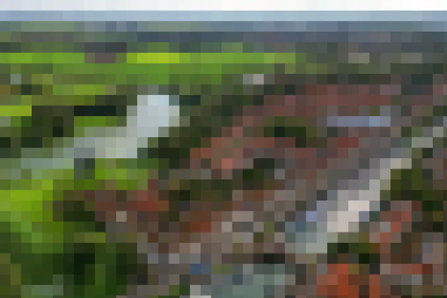 Zoutziederstraat 30 Brielle thumbnail 36