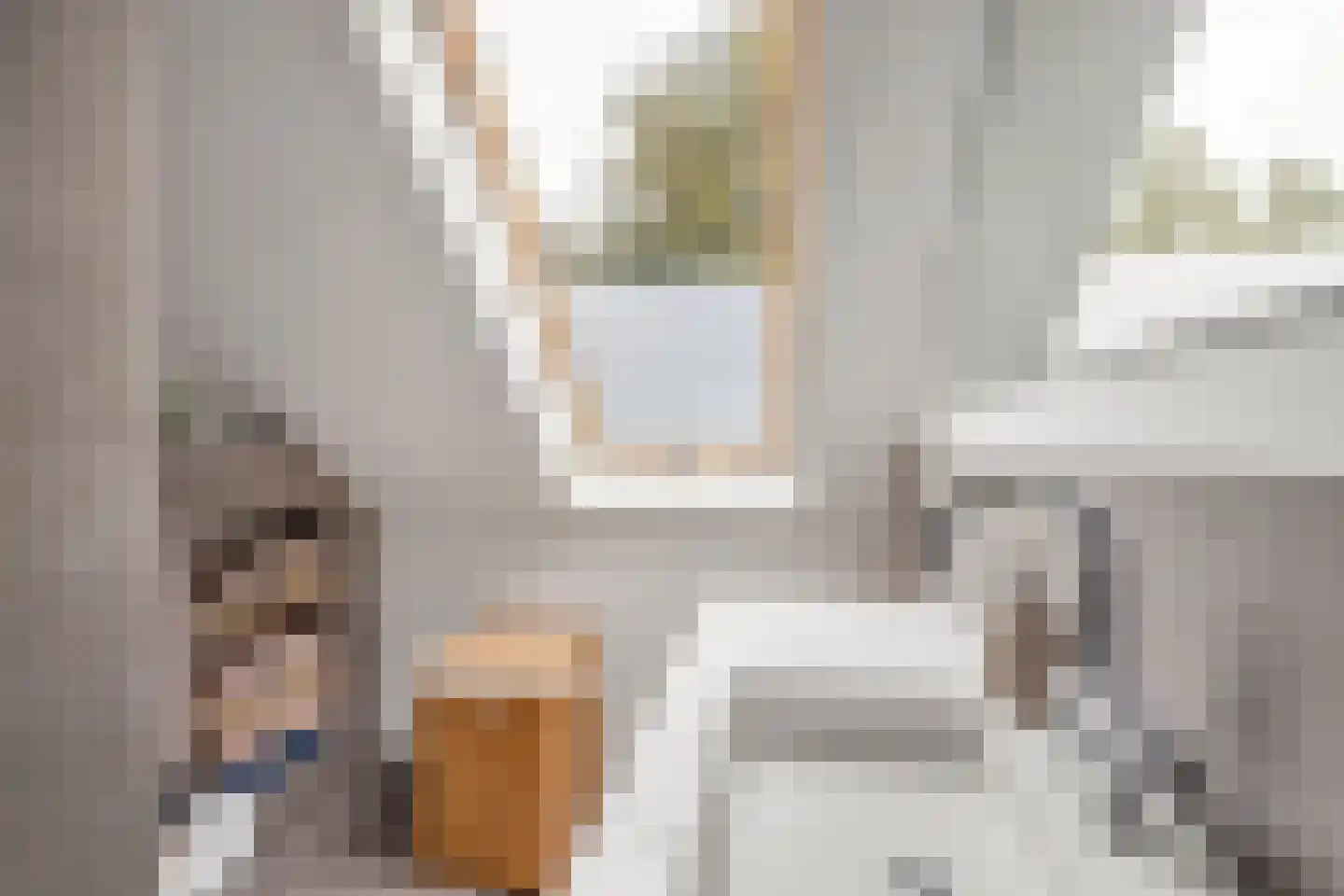 Zoutziederstraat 30 Brielle thumbnail 5