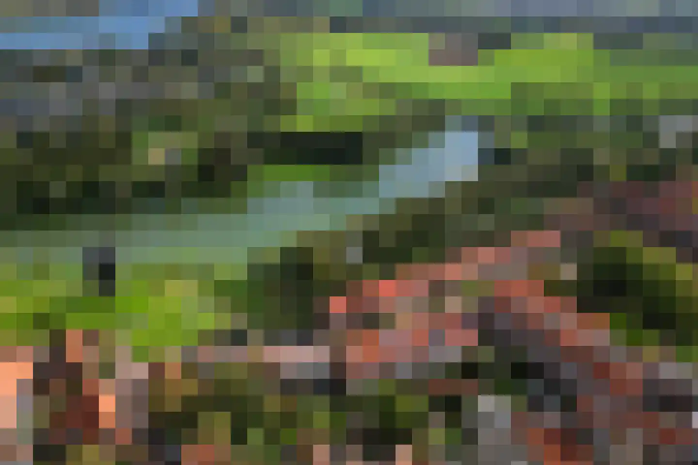 Zoutziederstraat 30 Brielle thumbnail 6