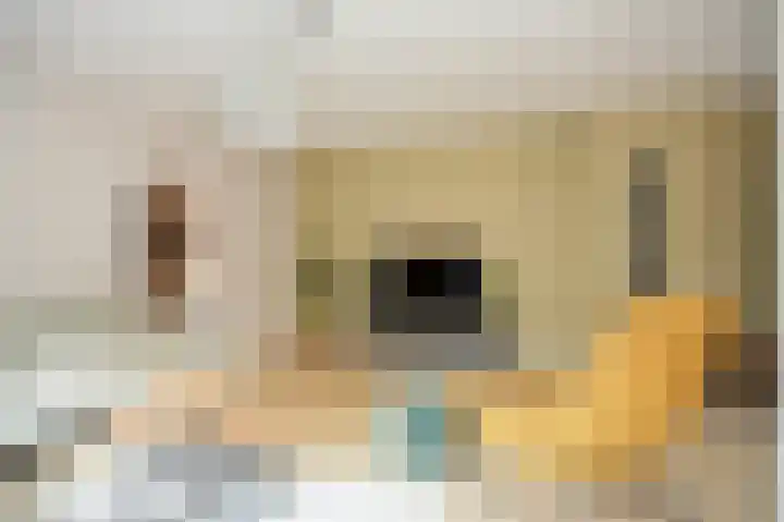 Zouwendijk 129 Meerkerk thumbnail 13