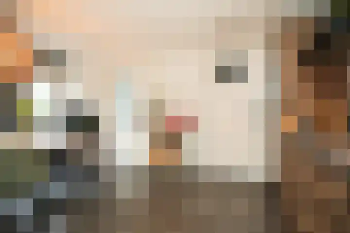 Zouwendijk 129 Meerkerk thumbnail 14
