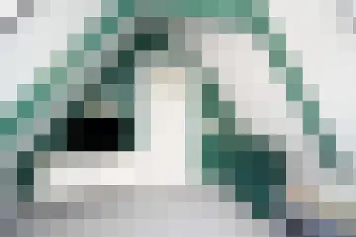 Zouwendijk 129 Meerkerk thumbnail 36