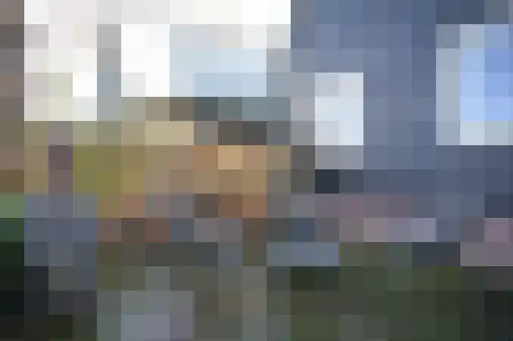 Zouwendijk 129 Meerkerk thumbnail 54