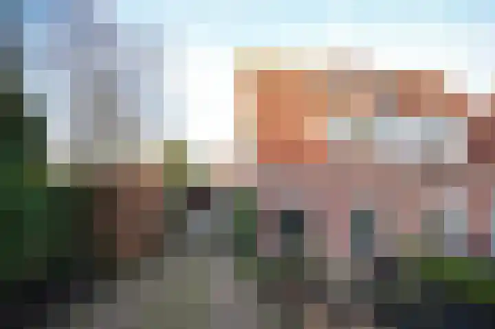 Zouwendijk 129 Meerkerk thumbnail 62