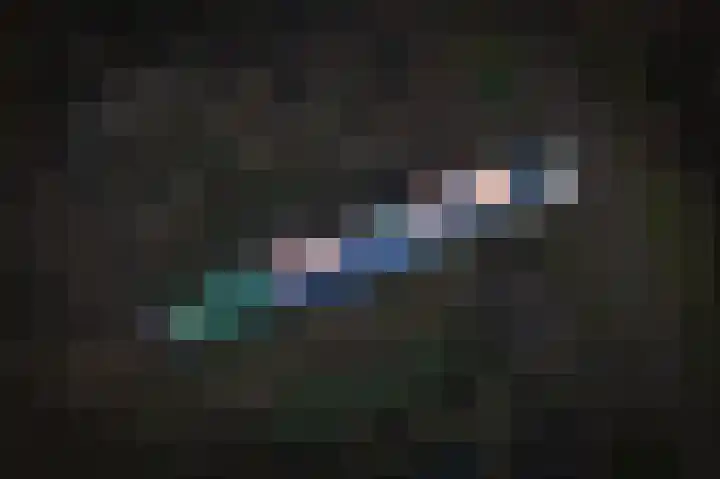 Zouwendijk 129 Meerkerk thumbnail 68