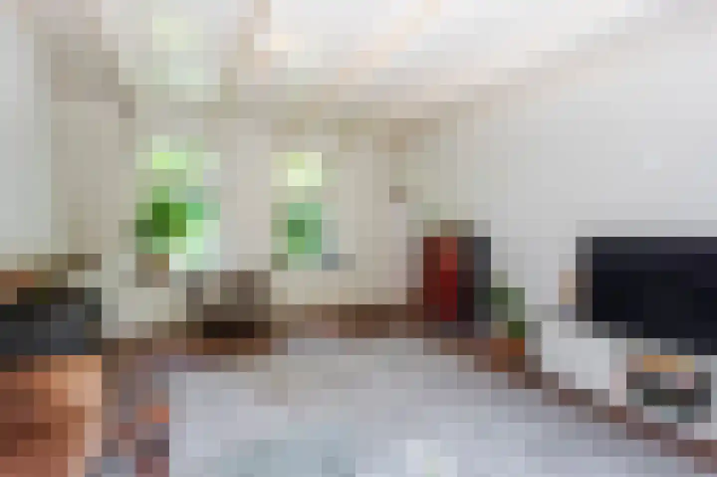 Zouwendijk 21 Ameide thumbnail 11