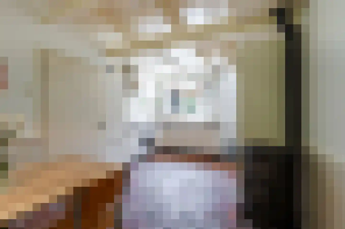 Zouwendijk 21 Ameide thumbnail 13