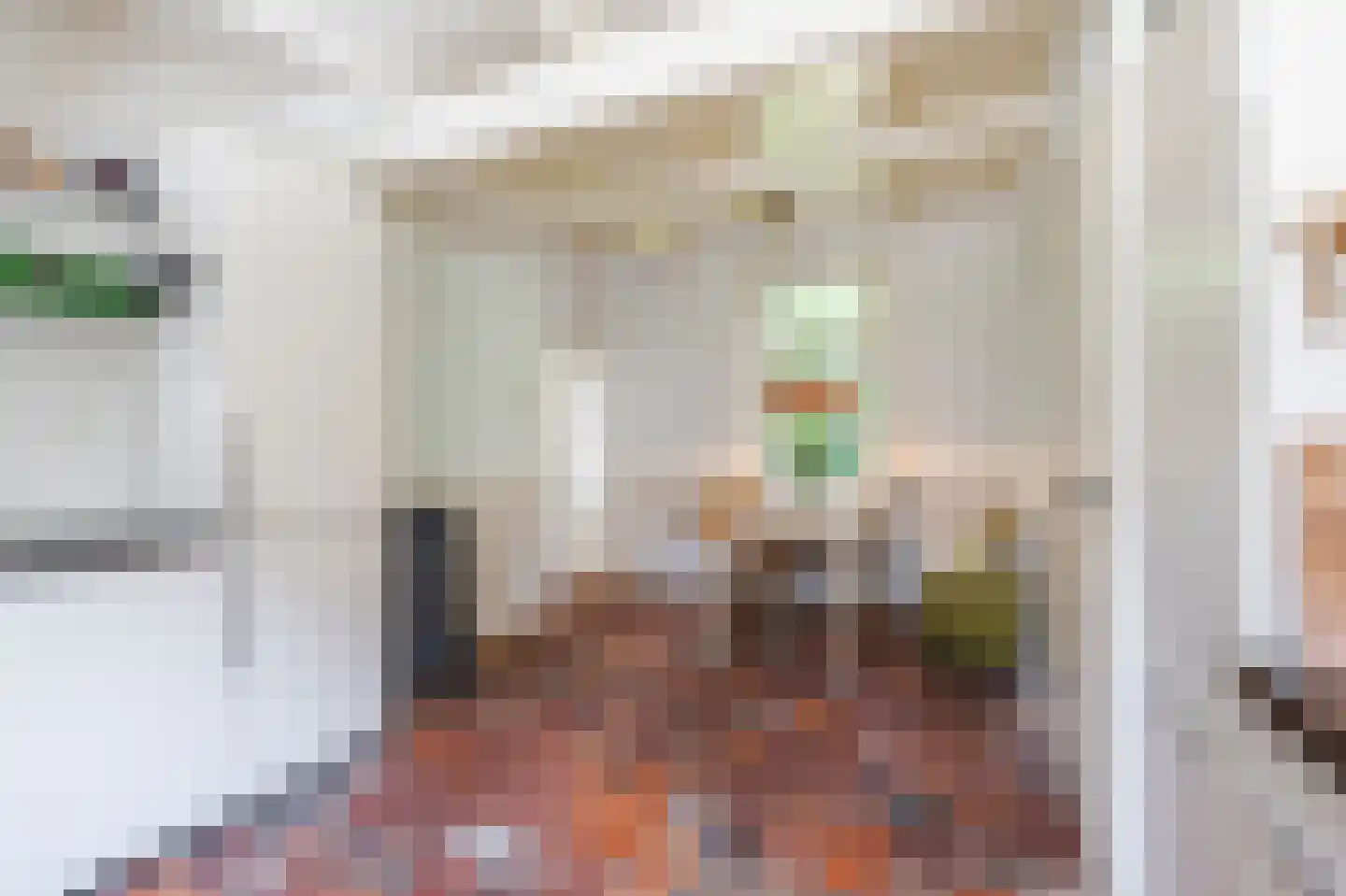 Zouwendijk 21 Ameide thumbnail 15