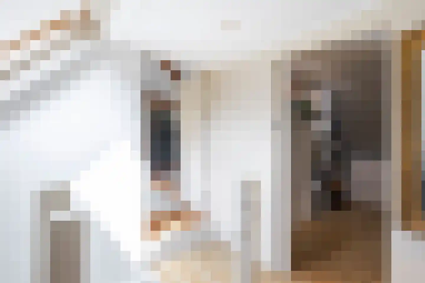 Zouwendijk 21 Ameide thumbnail 18