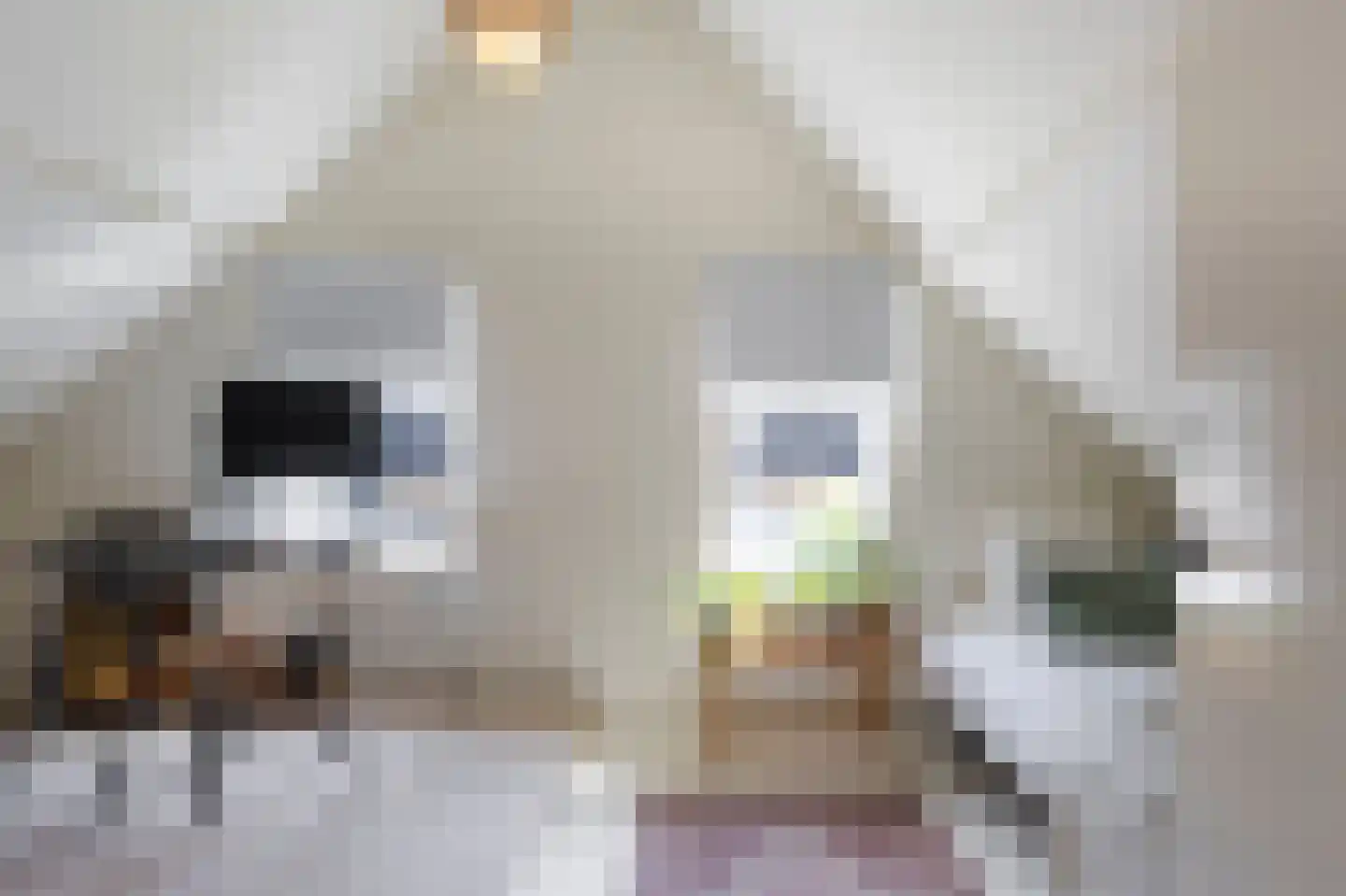 Zouwendijk 21 Ameide thumbnail 22
