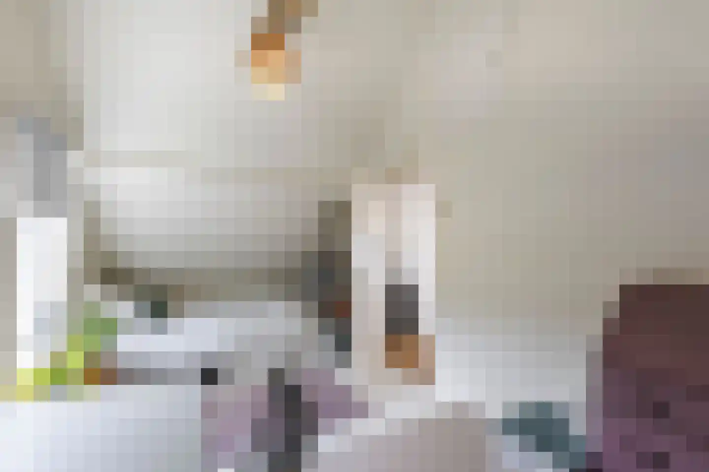 Zouwendijk 21 Ameide thumbnail 23