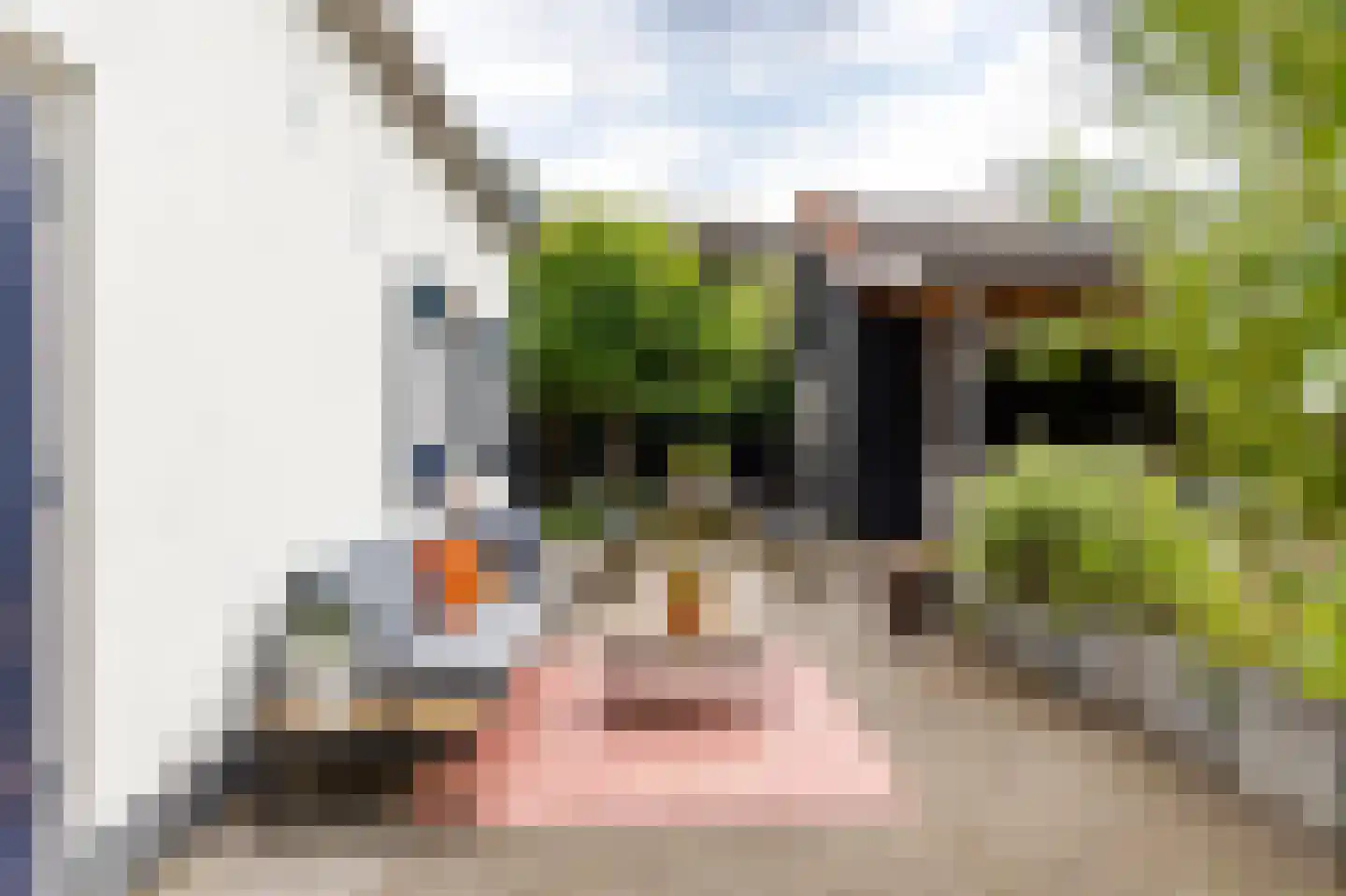 Zouwendijk 21 Ameide thumbnail 28