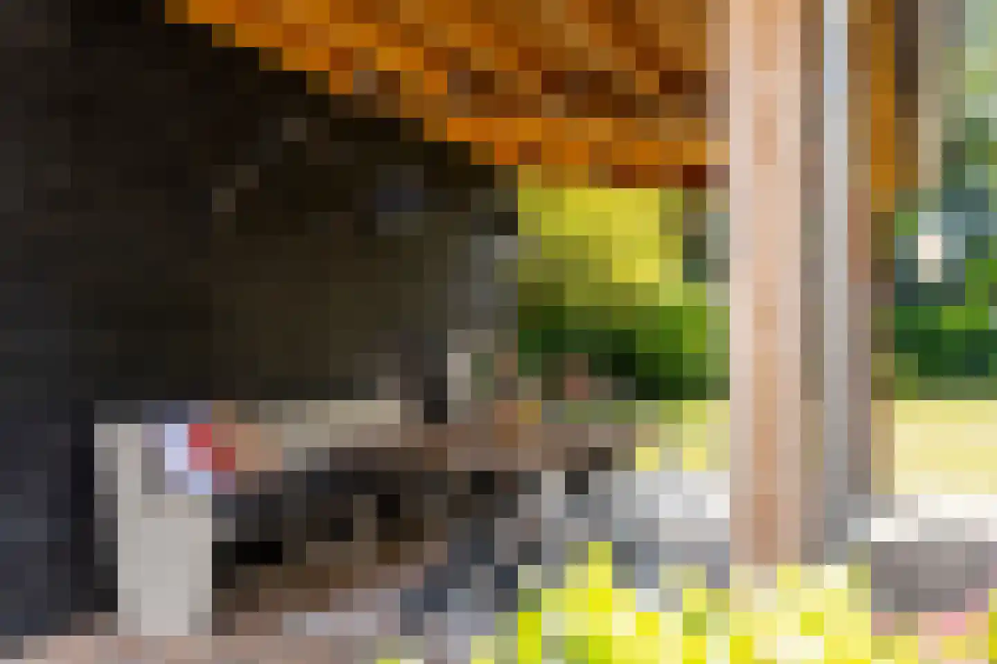 Zouwendijk 21 Ameide thumbnail 29