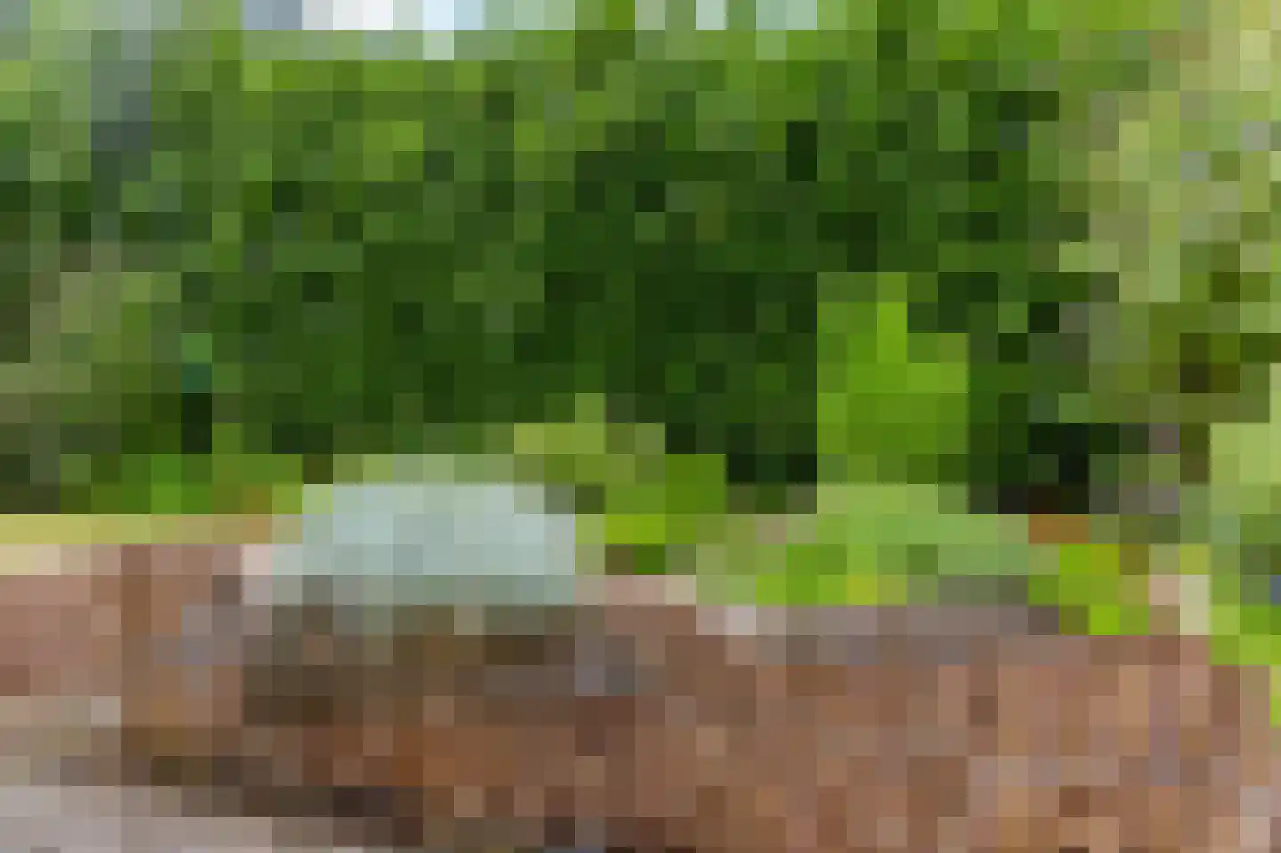 Zouwendijk 21 Ameide thumbnail 32