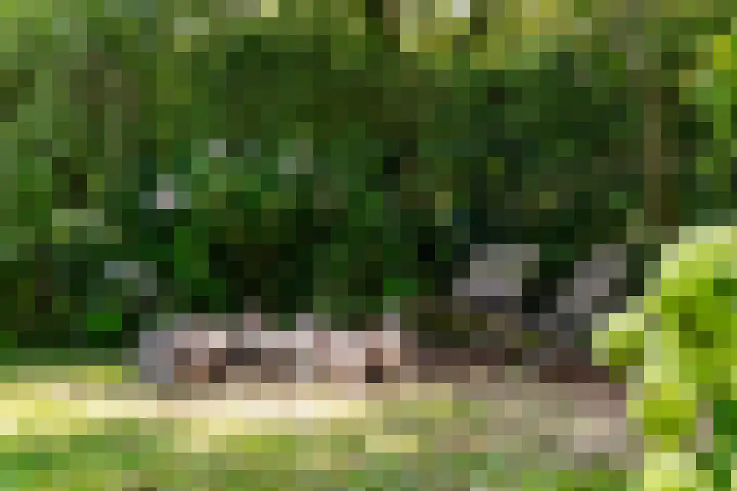 Zouwendijk 21 Ameide thumbnail 34