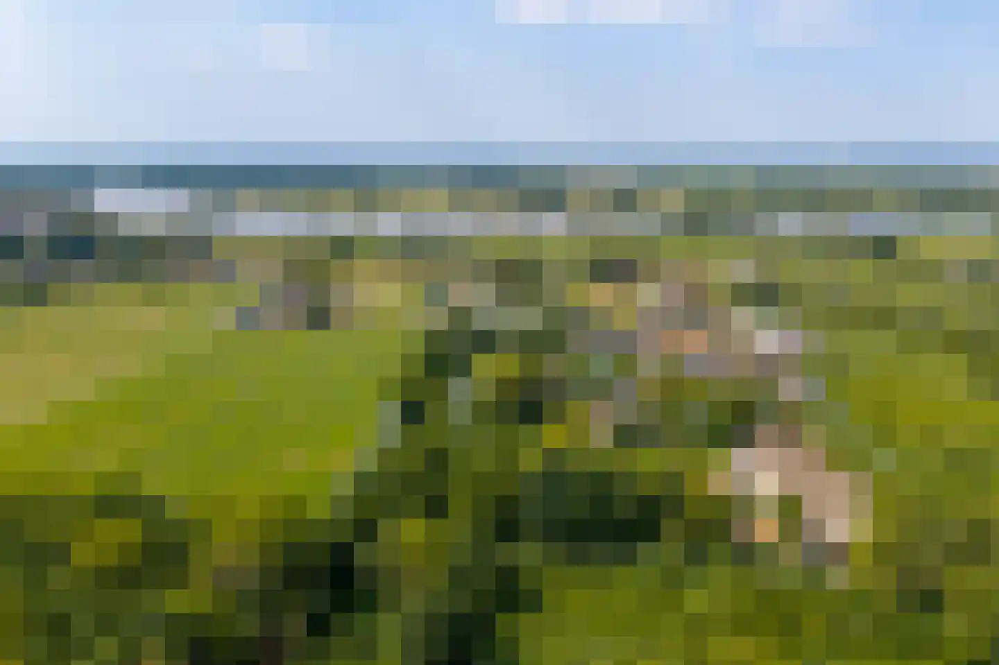 Zouwendijk 21 Ameide thumbnail 56