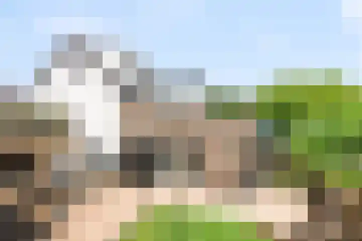 Zouwendijk 29 Ameide thumbnail 33