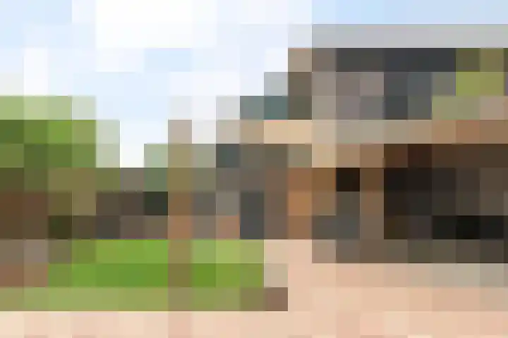 Zouwendijk 29 Ameide thumbnail 34