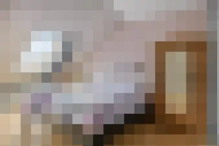 Zouwendijk 29 Ameide thumbnail 35