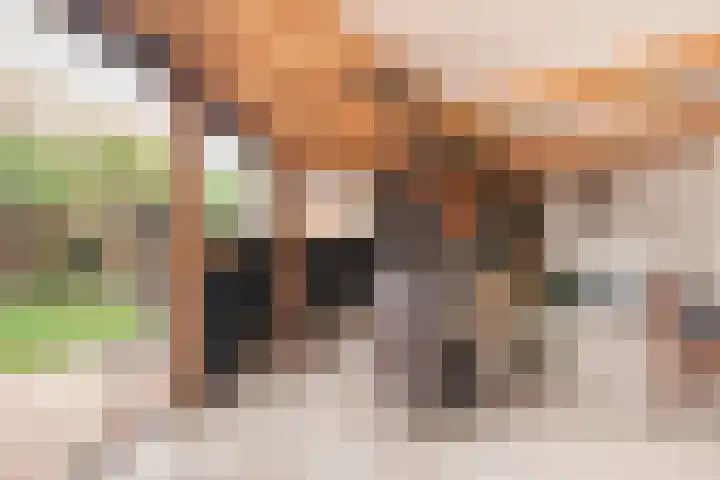 Zouwendijk 29 Ameide thumbnail 37