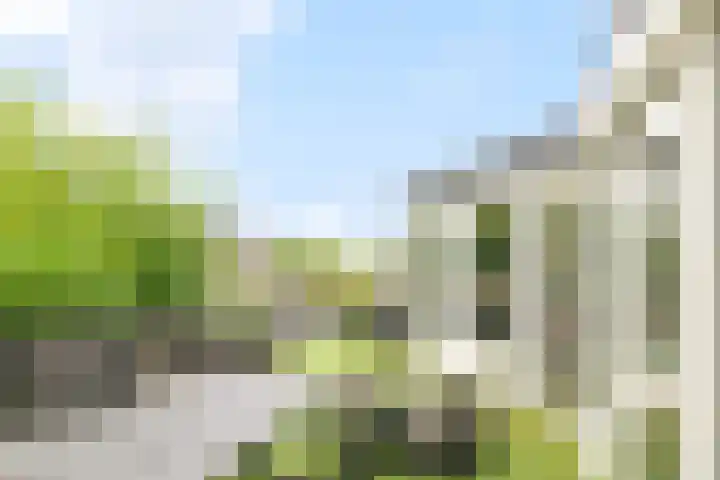 Zouwendijk 29 Ameide thumbnail 40
