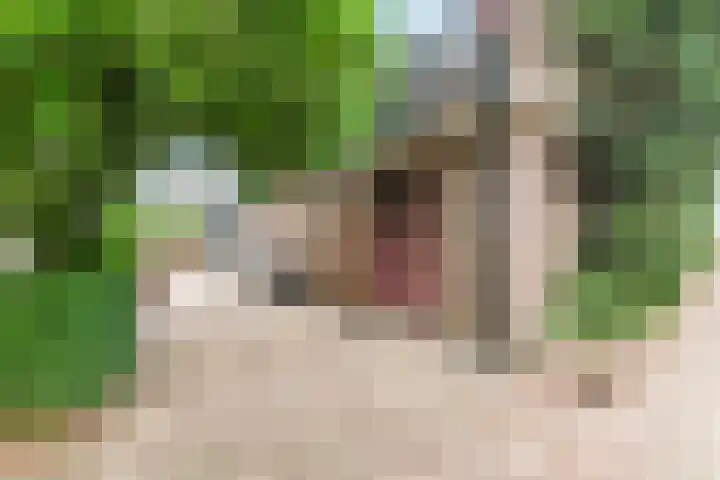 Zouwendijk 29 Ameide thumbnail 41