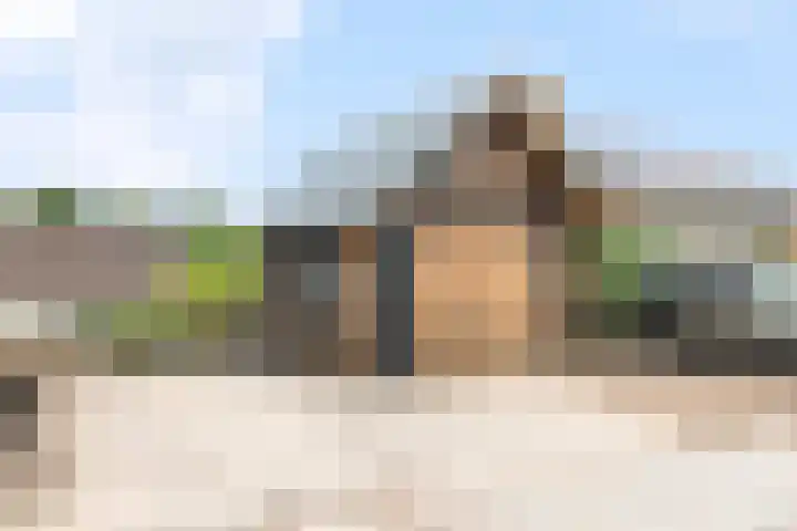 Zouwendijk 29 Ameide thumbnail 42