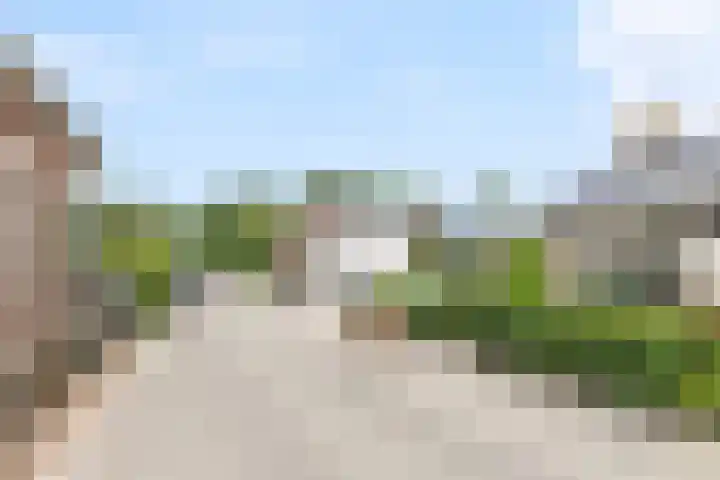 Zouwendijk 29 Ameide thumbnail 45