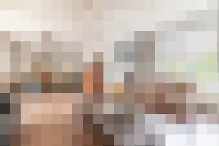 Zouwendijk 29 Ameide thumbnail 8