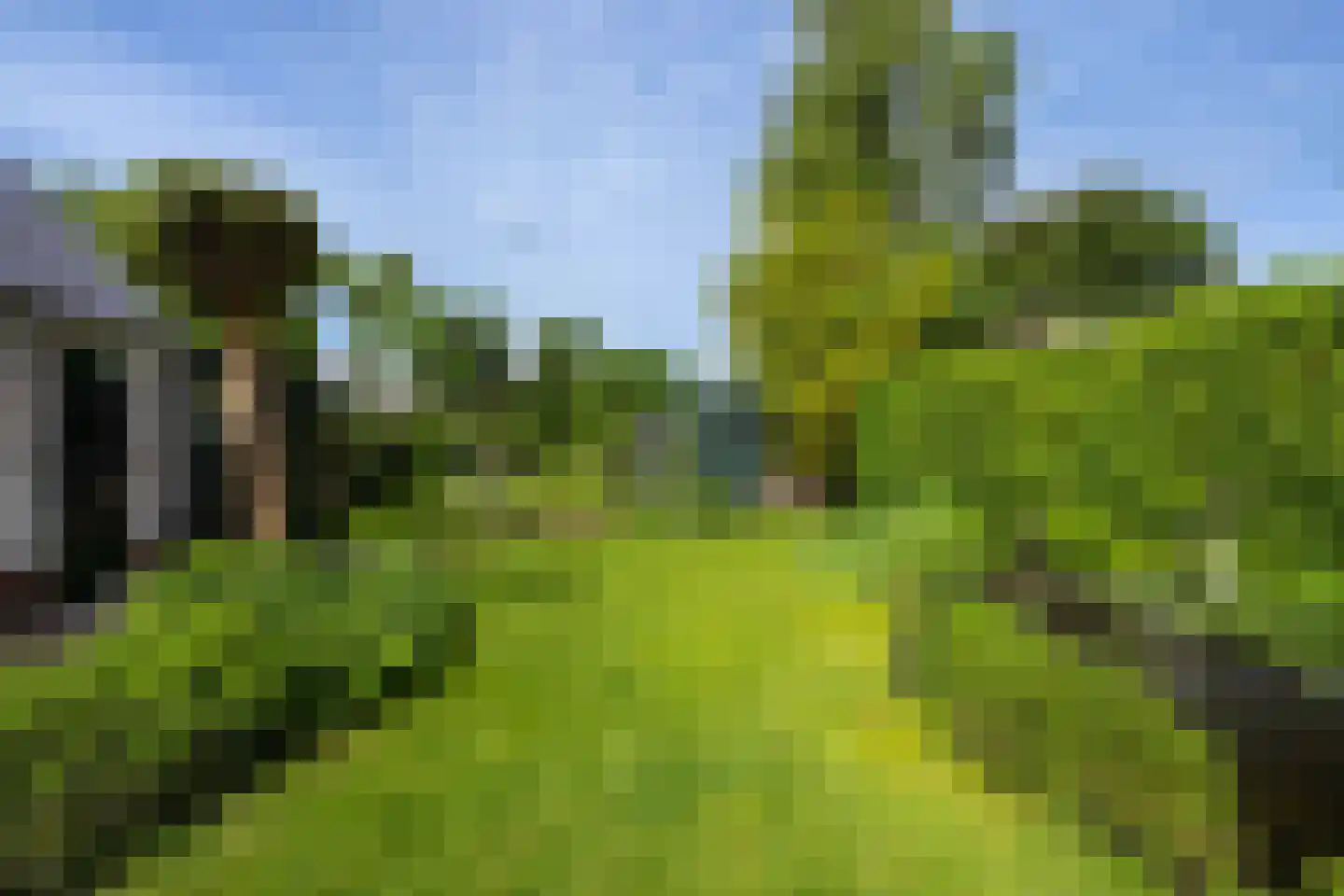 Zouwendijk 31 Meerkerk thumbnail 16