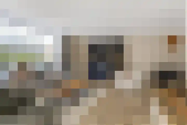 Zouwendijk 40 Meerkerk thumbnail 10