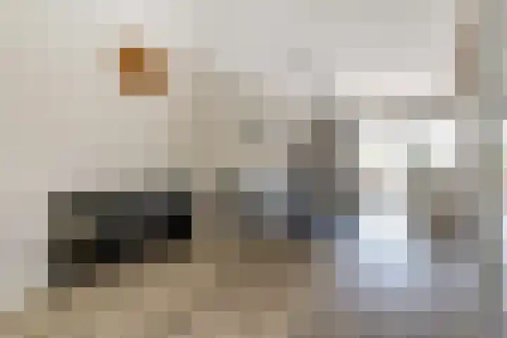 Zouwendijk 40 Meerkerk thumbnail 13