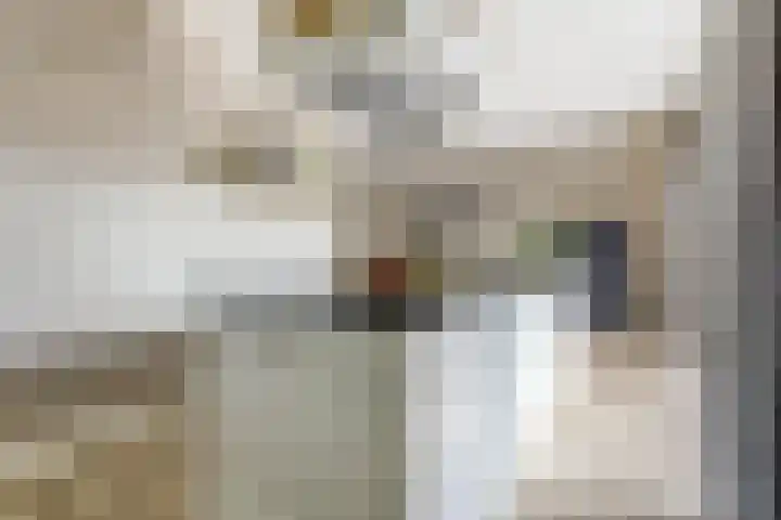 Zouwendijk 40 Meerkerk thumbnail 17