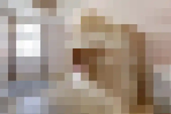 Zouwendijk 40 Meerkerk thumbnail 26