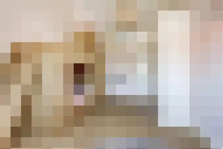 Zouwendijk 40 Meerkerk thumbnail 27