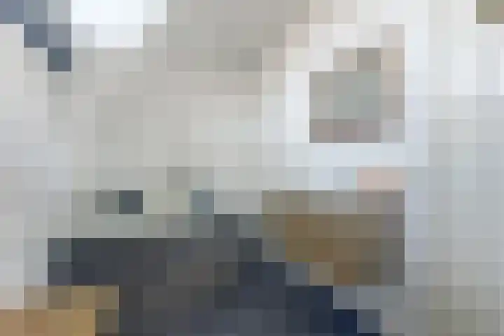 Zouwendijk 40 Meerkerk thumbnail 31