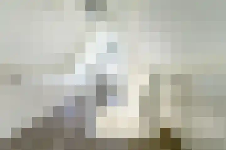 Zouwendijk 40 Meerkerk thumbnail 34