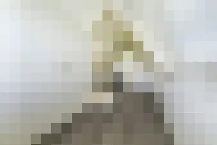 Zouwendijk 40 Meerkerk thumbnail 35