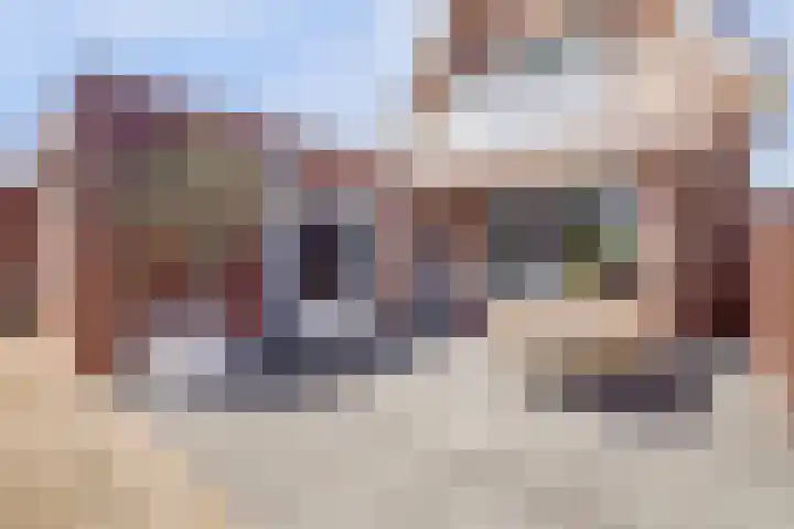 Zouwendijk 40 Meerkerk thumbnail 38