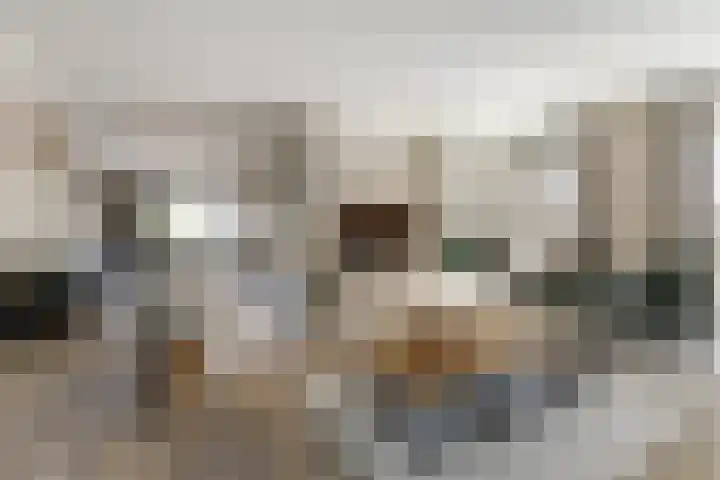 Zouwendijk 40 Meerkerk thumbnail 4