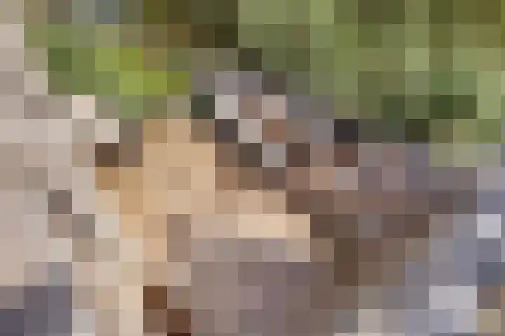Zouwendijk 40 Meerkerk thumbnail 44