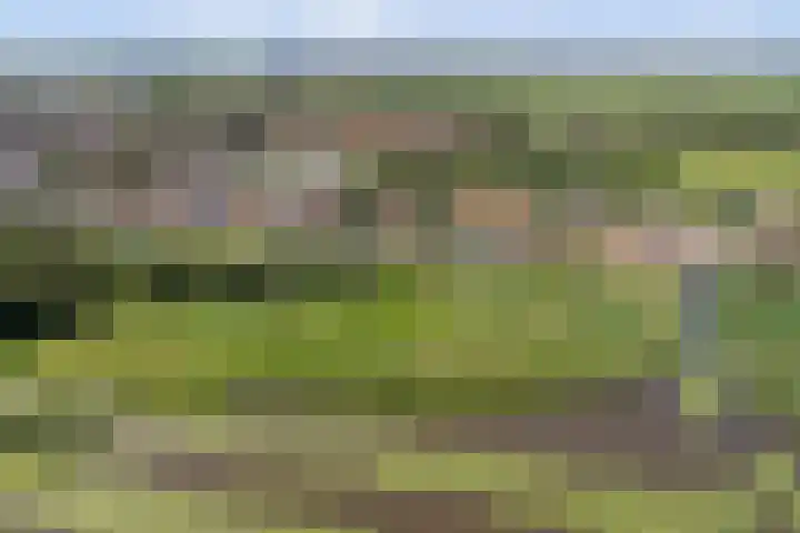 Zouwendijk 40 Meerkerk thumbnail 47